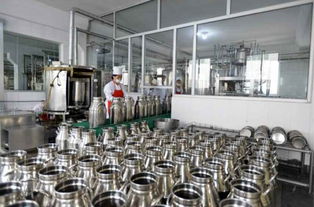 金正恩視察平壤兒童食品廠，鼓勵打造世界領(lǐng)先工廠